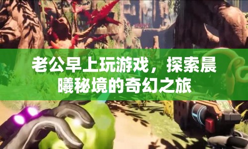 老公晨起探索晨曦秘境，奇幻游戲之旅開(kāi)啟  第1張