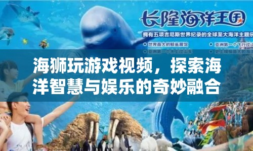 海獅游戲，探索海洋智慧與娛樂的奇妙融合