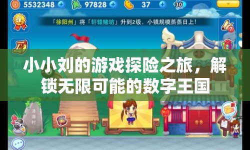 小小劉的數(shù)字王國探險(xiǎn)之旅  第1張