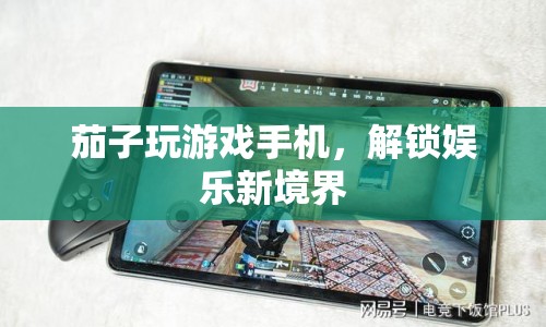 茄子解鎖娛樂新境界，玩游戲手機(jī)