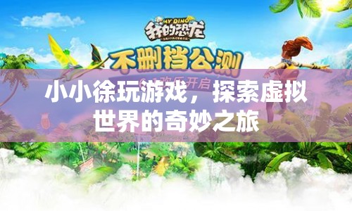 小小徐的虛擬世界探險之旅  第1張