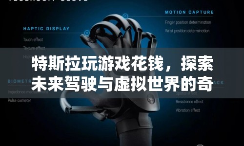 特斯拉探索駕駛與虛擬世界融合，游戲花錢開啟奇妙體驗(yàn)