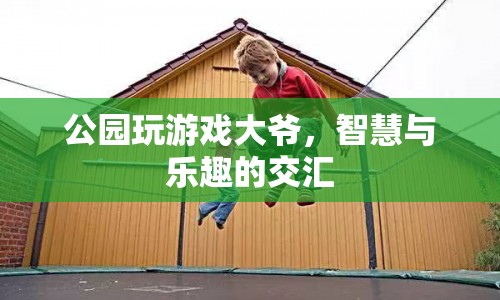 公園玩游戲大爺，智慧與樂趣的交匯