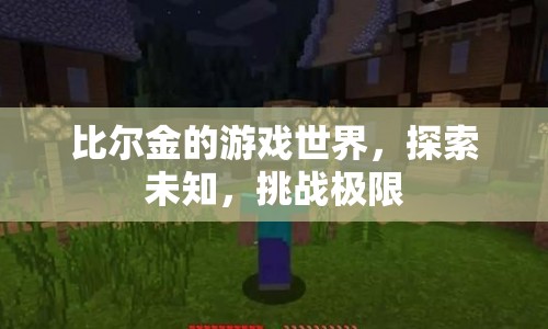 比爾金，探索游戲世界的未知與挑戰(zhàn)