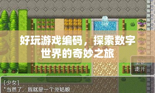 探索數(shù)字世界的奇妙之旅，好玩游戲編碼