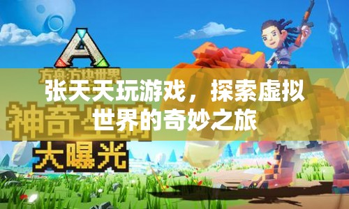 張?zhí)焯?，探索虛擬世界的奇妙之旅