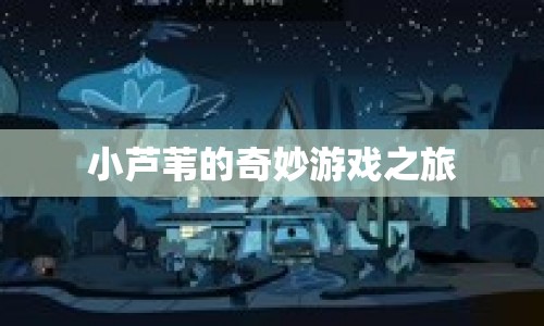 小蘆葦?shù)钠婷蠲半U(xiǎn)之旅