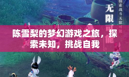 陳雪梨的夢幻游戲之旅，探索未知，挑戰(zhàn)自我