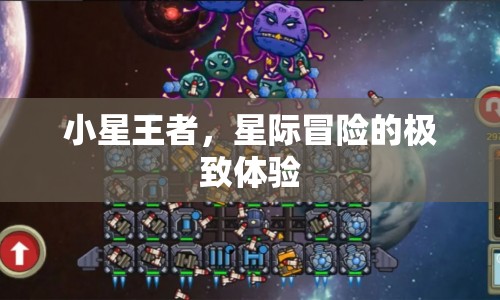 小星王者，星際冒險(xiǎn)的極致體驗(yàn)