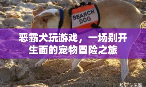 惡霸犬的寵物冒險(xiǎn)，一場(chǎng)別開(kāi)生面的游戲之旅