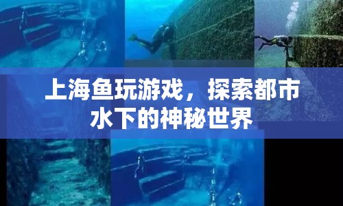 上海魚(yú)玩游戲，探索都市水下的神秘世界