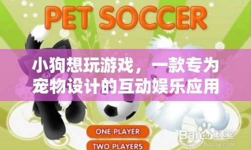 寵物專屬游戲，小狗的歡樂互動娛樂應用
