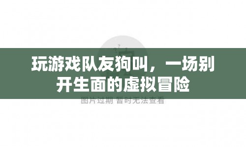 隊(duì)友狗叫添彩虛擬冒險(xiǎn)，游戲樂趣再升級！