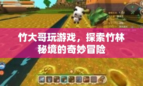 竹大哥竹林探險(xiǎn)，揭秘竹林秘境的奇妙之旅
