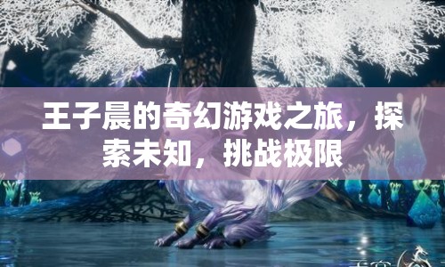 王子晨的奇幻冒險(xiǎn)，探索未知，挑戰(zhàn)極限
