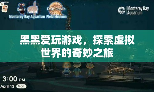 探索虛擬世界的奇妙之旅，黑黑的游戲之旅