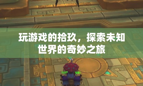 探索未知世界的奇妙之旅，玩游戲的拾玖
