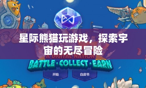 星際熊貓，宇宙冒險(xiǎn)的無限游戲