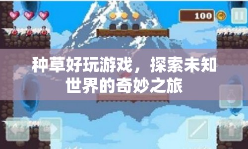探索未知世界的奇妙之旅，種草好玩游戲