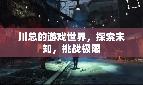 川總的游戲世界，探索未知，挑戰(zhàn)極限