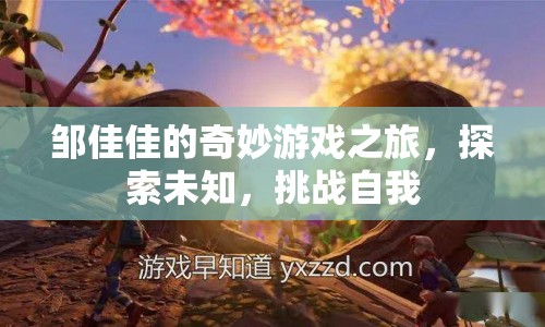鄒佳佳的奇妙冒險(xiǎn)，探索未知，挑戰(zhàn)自我之旅  第1張