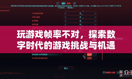 數(shù)字時(shí)代下的游戲挑戰(zhàn)與機(jī)遇，探索幀率問題