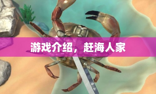 趕海人家，探索海洋的奇妙之旅