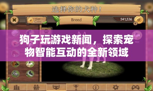 寵物狗玩VR游戲，探索智能互動新領域