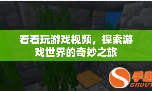 探索游戲世界的奇妙之旅  第1張