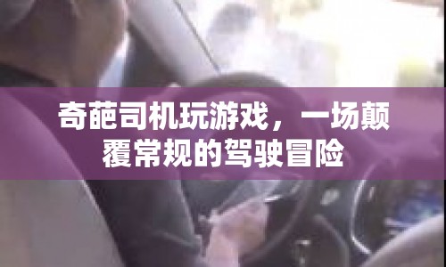 奇葩司機玩游戲，一場顛覆常規(guī)的駕駛冒險