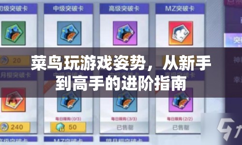 菜鳥(niǎo)到高手，游戲進(jìn)階指南