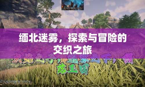 緬北迷霧，探索與冒險(xiǎn)的交織之旅