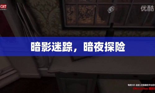 暗夜迷蹤，探險(xiǎn)者的神秘之旅