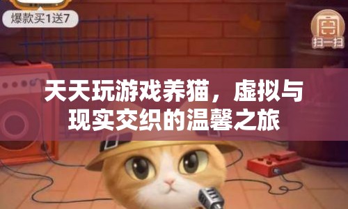 虛擬與現(xiàn)實交織的溫馨之旅，天天玩游戲養(yǎng)貓