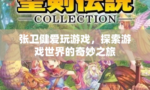 張衛(wèi)健游戲探索之旅，暢游奇妙的游戲世界