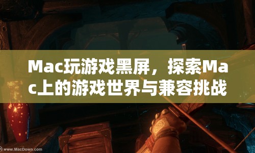Mac游戲兼容挑戰(zhàn)，探索游戲世界卻遇黑屏困擾
