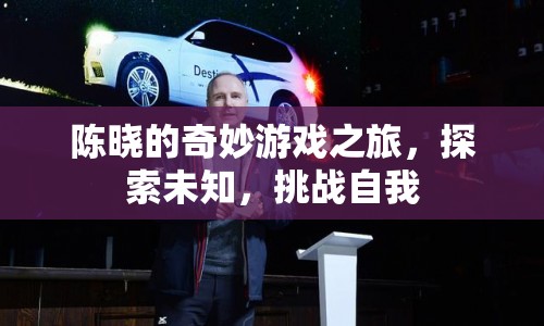 陳曉的奇妙游戲之旅，探索未知，挑戰(zhàn)自我