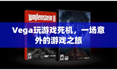 Vega顯卡玩游戲死機，一場意外的游戲之旅