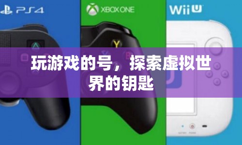 探索虛擬世界的鑰匙，玩游戲的號