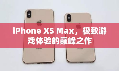 iPhone XS Max，打造極致游戲體驗的巔峰之作
