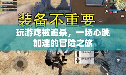 心跳加速的冒險(xiǎn)，被追殺的驚險(xiǎn)游戲之旅