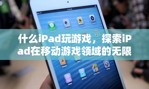 iPad，移動(dòng)游戲領(lǐng)域的無限可能  第1張