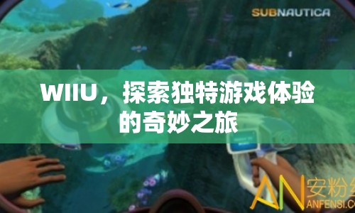 WIIU，開啟獨特游戲體驗的奇妙之旅