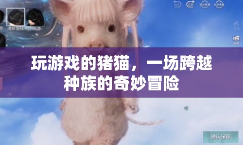 豬貓跨種族冒險，游戲世界的奇妙之旅  第1張