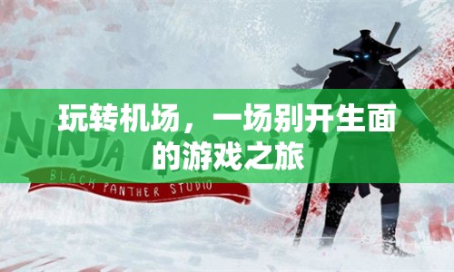 玩轉(zhuǎn)機(jī)場(chǎng)，一場(chǎng)游戲與旅行交織的奇妙之旅  第1張