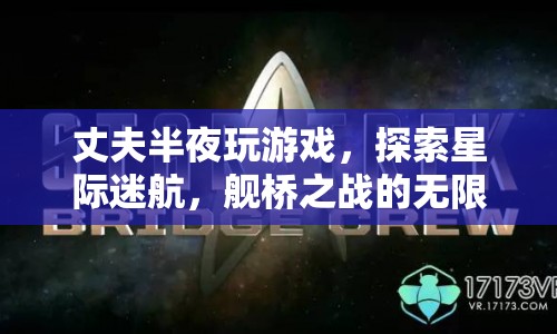 星際迷航，艦橋之戰(zhàn)的無限可能，丈夫深夜探索游戲世界