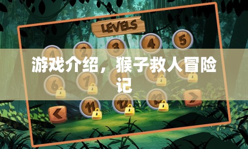 猴子救人冒險(xiǎn)記，一場(chǎng)驚險(xiǎn)刺激的救援之旅