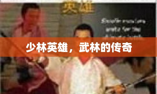 少林英雄，武林的傳奇?zhèn)髌? class=