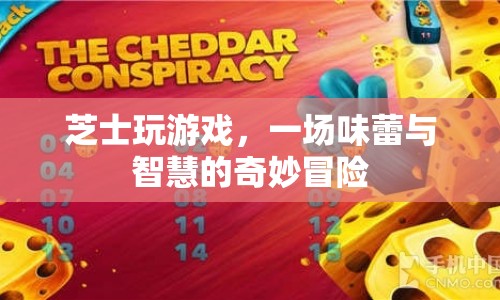 味蕾與智慧的奇妙冒險(xiǎn)，芝士玩游戲
