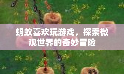 螞蟻的微觀世界探險(xiǎn)，一場(chǎng)奇妙的冒險(xiǎn)游戲